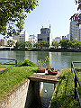 hiroshimariver02_08_thumb.png