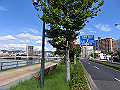 hiroshimariver03_01_thumb.png