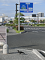 hiroshimaseaside_57_thumb.png