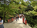 miyajima01_05_thumb.png