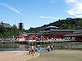 miyajima02_16_thumb.png