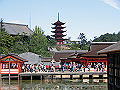 miyajima02_21_thumb.png