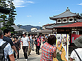 miyajima02_22_thumb.png