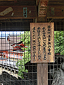 miyajima02_25_thumb.png