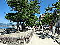 miyajima03_01_thumb.png