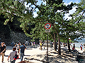 miyajima03_05_thumb.png