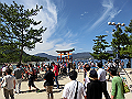 miyajima03_09_thumb.png