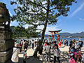 miyajima03_10_thumb.png