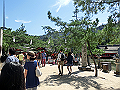 miyajima03_16_thumb.png