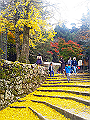 miyajima04_01_thumb.png