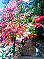 miyajima04_05_thumb.png