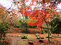 miyajima04_08_thumb.png