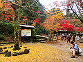 miyajima04_09_thumb.png