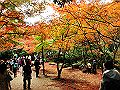 miyajima04_12_thumb.png