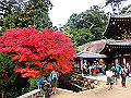 miyajima04_14_thumb.png