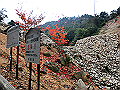 miyajima04_23_thumb.png