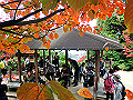 miyajima04_27_thumb.png