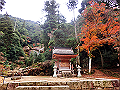 miyajima04_29_thumb.png