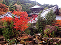 miyajima04_31_thumb.png