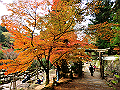 miyajima04_33_thumb.png