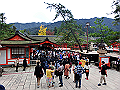 miyajima04_36_thumb.png