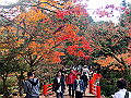 miyajima04_38_thumb.png