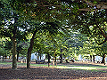 peacememorialpark28_thumb.png