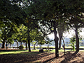 peacememorialpark29_thumb.png