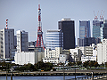 toyosu2015_08_thumb.png